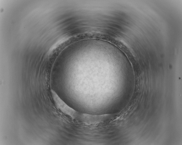 X0000087310919200705041645