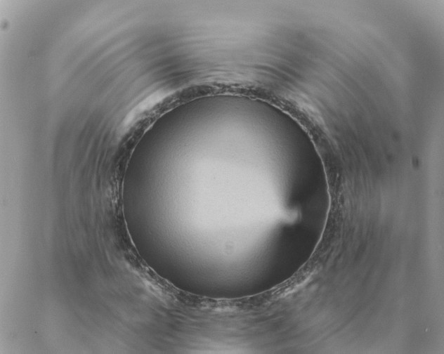 X0000087310920200705041645