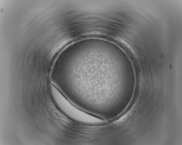 X0000087310921200705041645