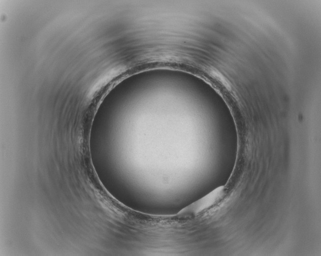 X0000087310922200705041645