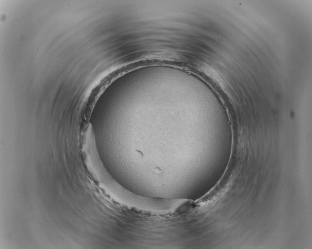 X0000087310923200705041645