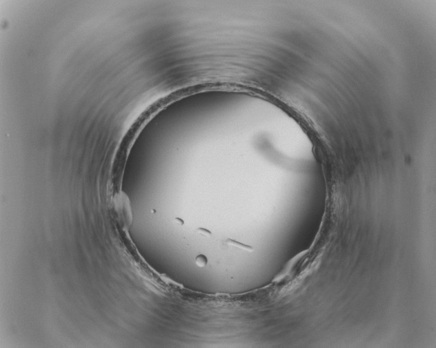 X0000087310924200705041645