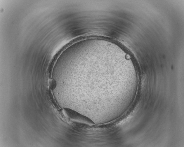 X0000087310925200705041645