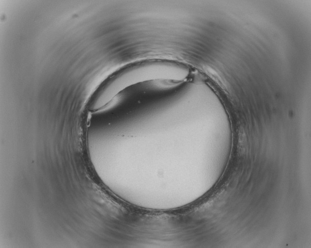 X0000087310926200705041645