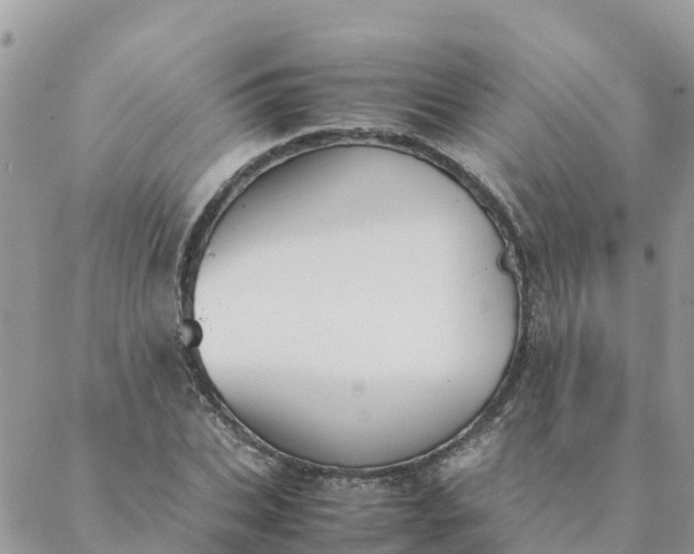 X0000087310927200705041645