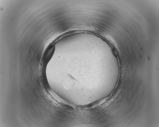 X0000087310928200705041645