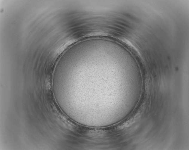 X0000087310929200705041646