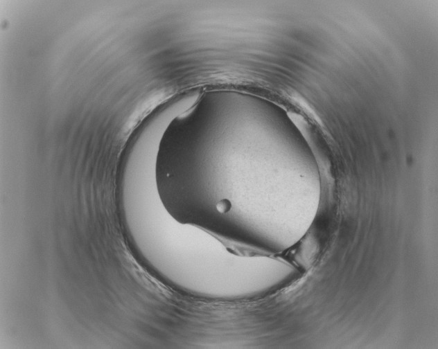 X0000087310930200705041646