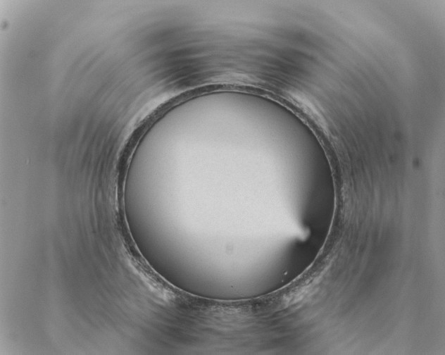 X0000087310931200705041646