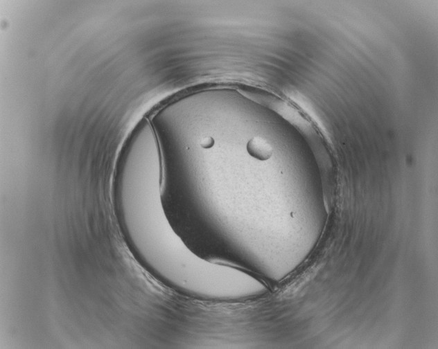 X0000087310932200705041646