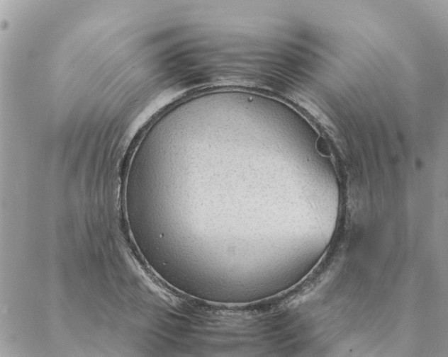 X0000087310933200705041646