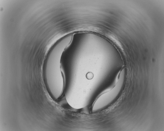 X0000087310936200705041646