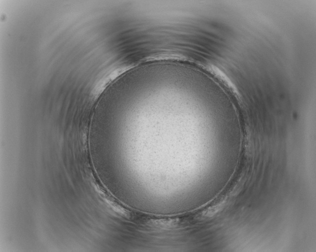 X0000087310937200705041646