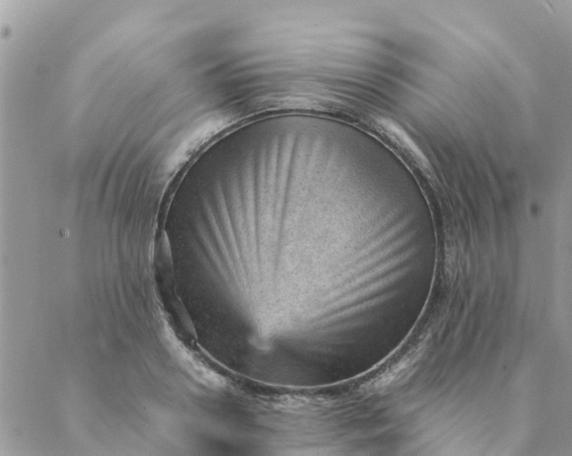 X0000087310938200705041646