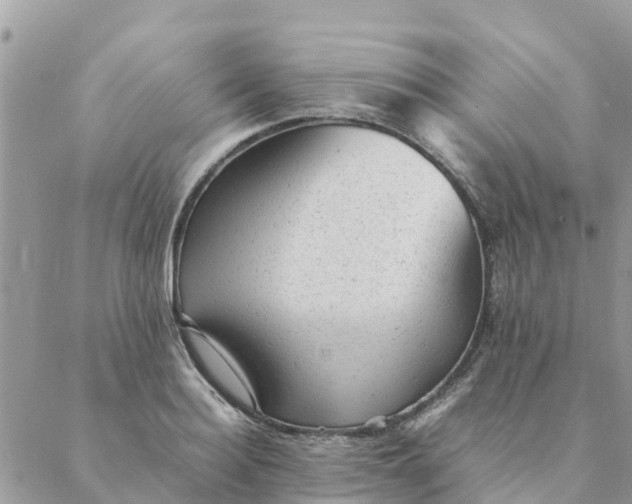 X0000087310940200705041646