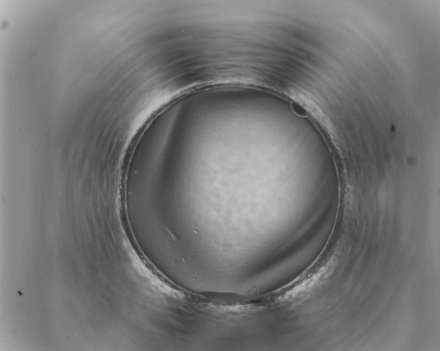 X0000087310941200705041646