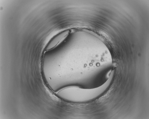 X0000087310942200705041646