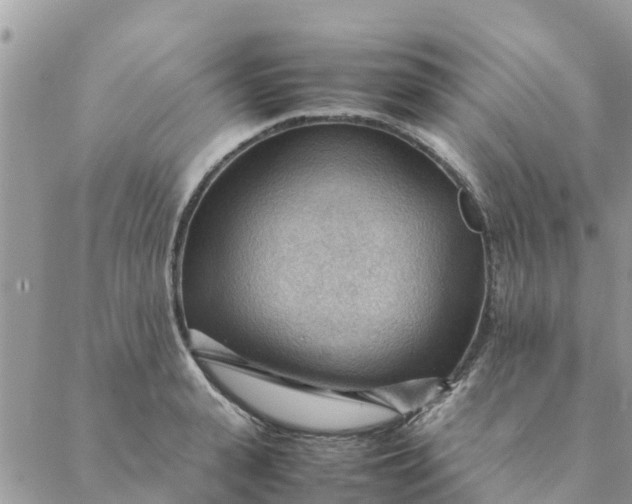 X0000087310943200705041646