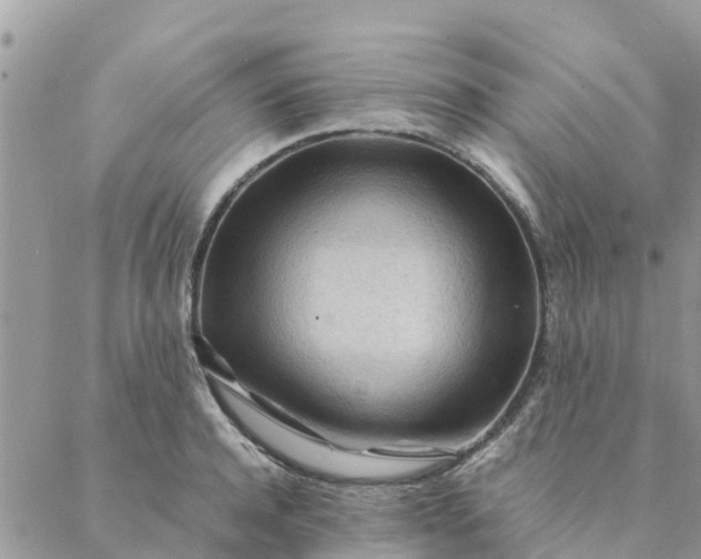 X0000087310944200705041646