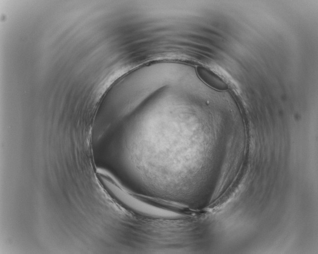 X0000087310945200705041646