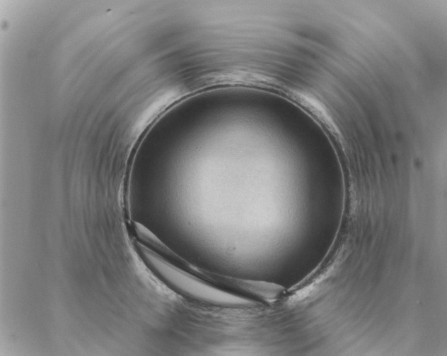 X0000087310946200705041646