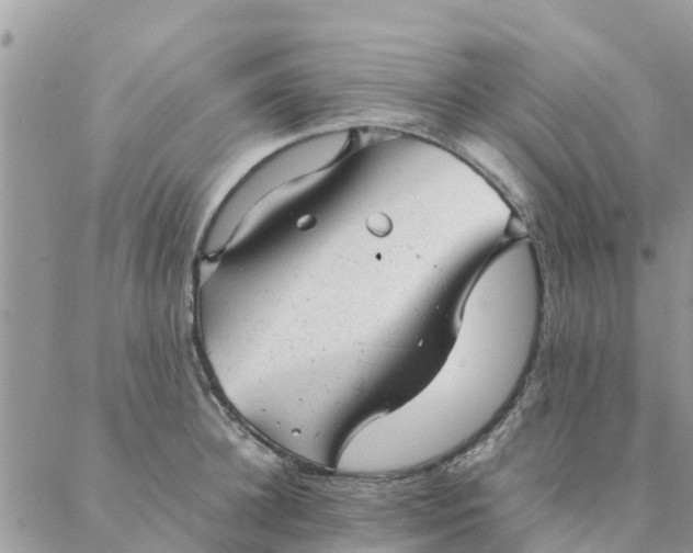 X0000087310948200705041646