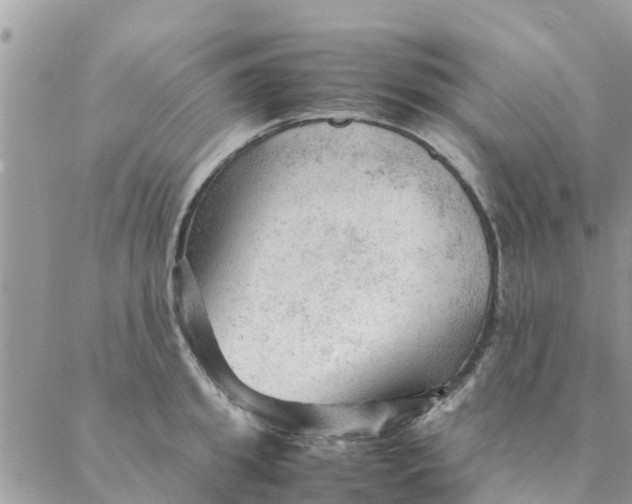 X0000087310949200705041646