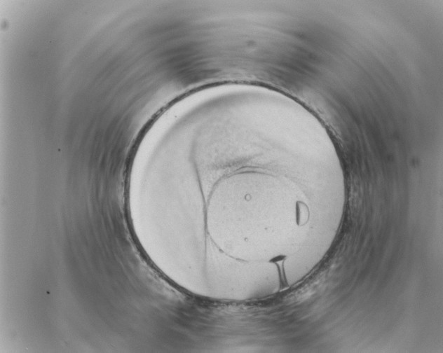 X0000087310950200705041646