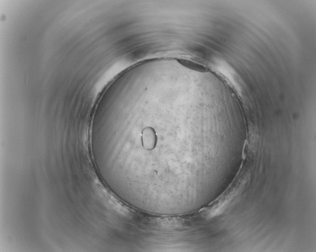 X0000087310952200705041646