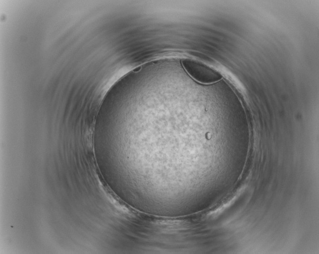 X0000087310953200705041646