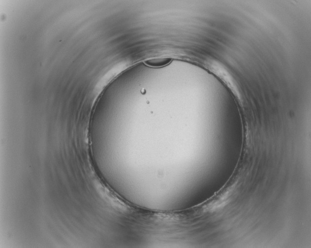 X0000087310954200705041646