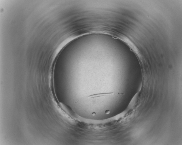 X0000087310955200705041646