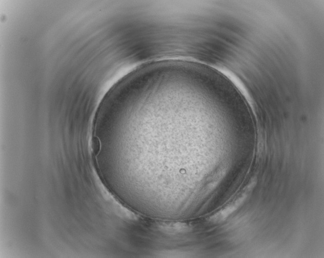 X0000087310957200705041646