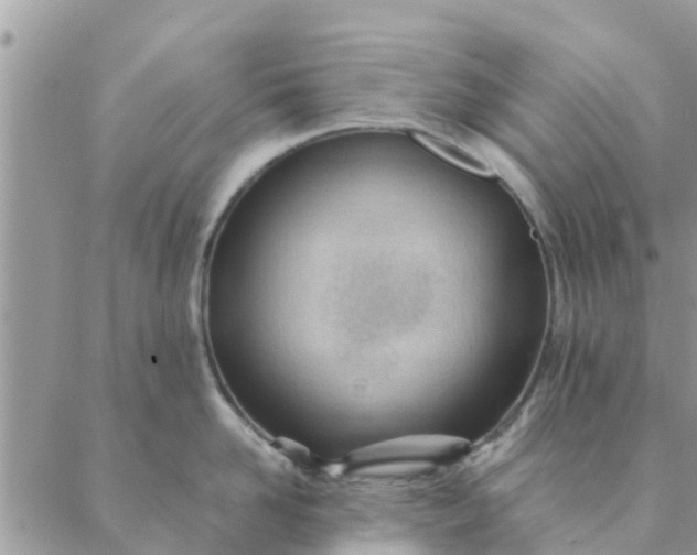 X0000087310958200705041646