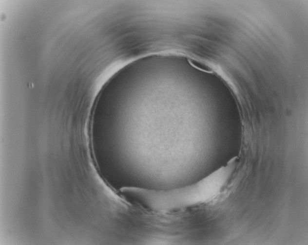 X0000087310959200705041646