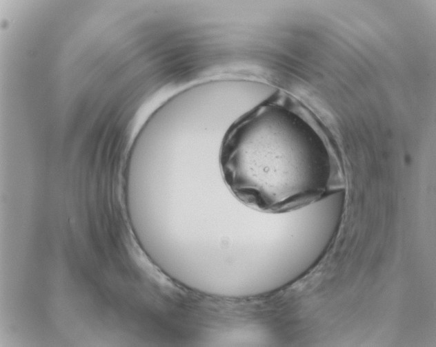 X0000087310960200705041646