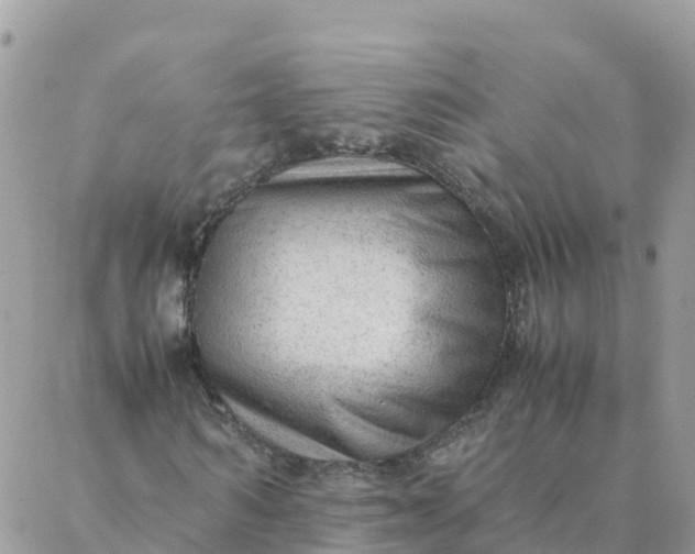 X0000087310962200705041645