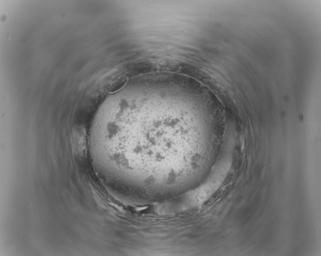 X0000087310963200705041645