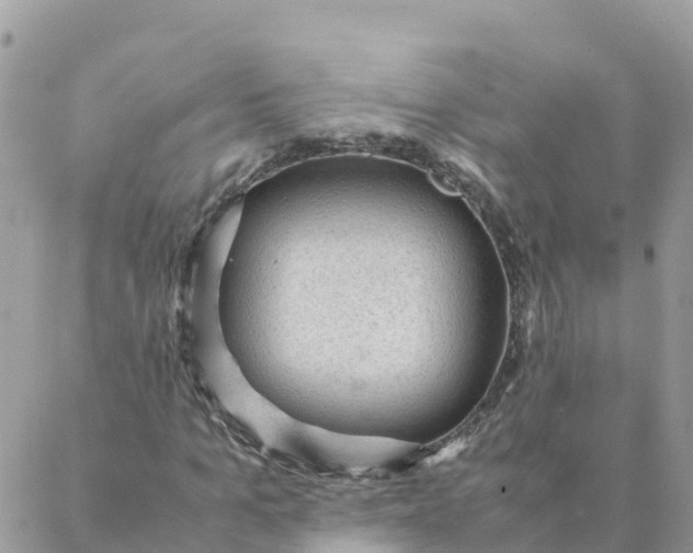 X0000087310965200705041645