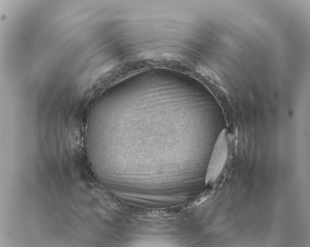 X0000087310966200705041645