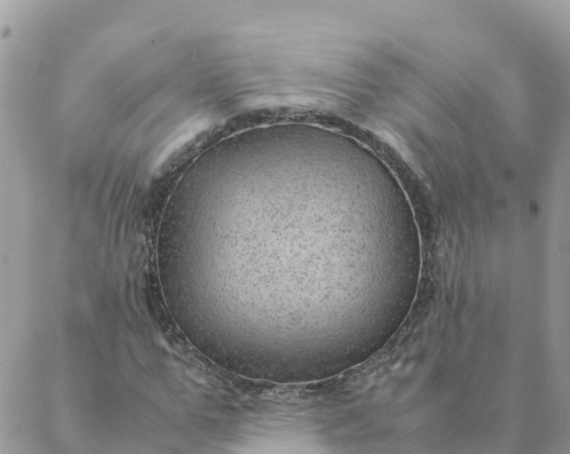 X0000087310967200705041645