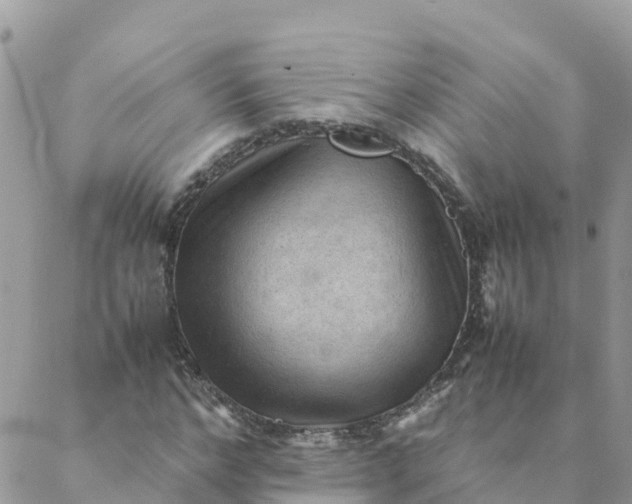 X0000087310968200705041645