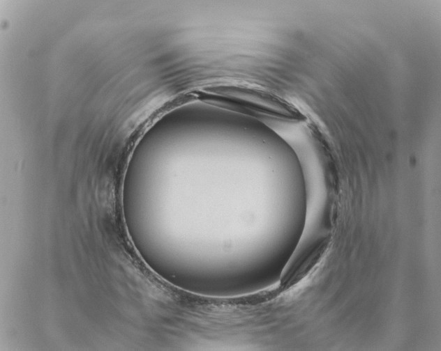 X0000087310969200705041645