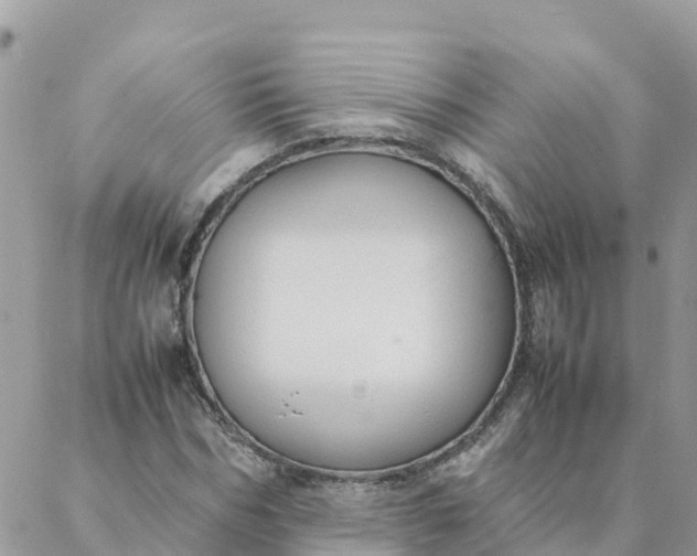 X0000087310970200705041645