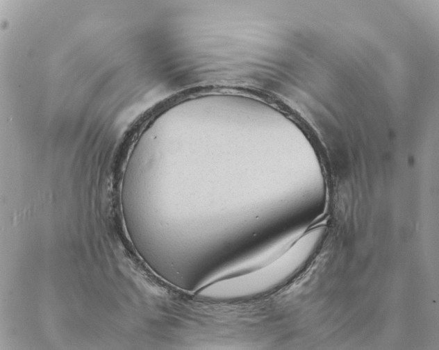 X0000087310971200705041645