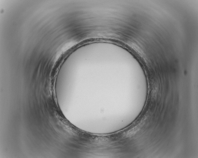 X0000087310974200705041645