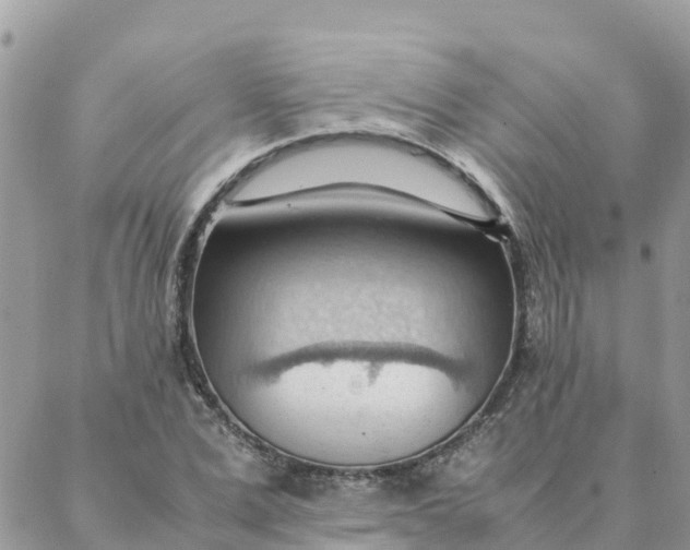 X0000087310975200705041645