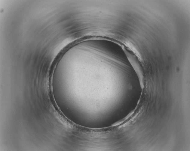 X0000087310976200705041645