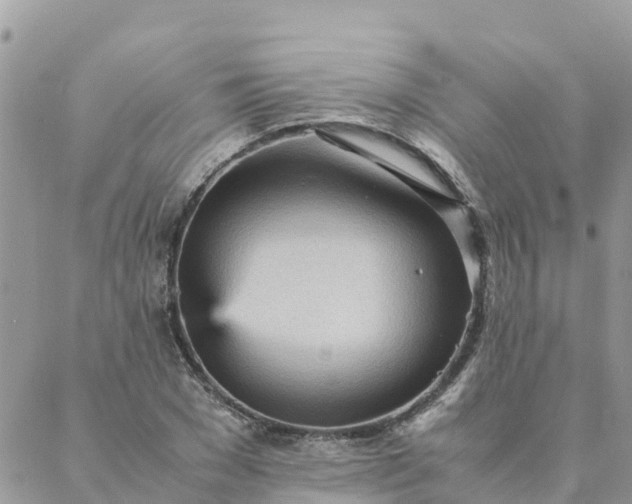 X0000087310977200705041645