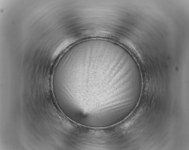 X0000087310978200705041645